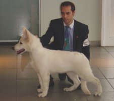 Eliphas Froddo Von Basel - Ikar�v syn, Argentina