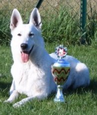 Genny Lee Donnevara - Alpentrophy 2005