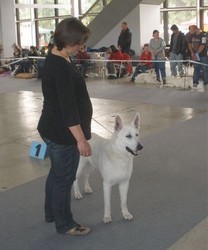 Ilona a Orfano - Intercanis 2010