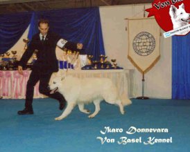 Julian s Ikarem v kruhu