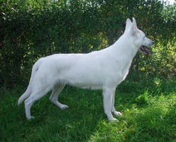 Kelly 2,5 roku