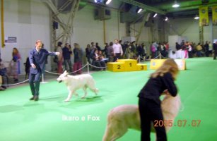 O nejlep��ho psa - Ikaro a Fox