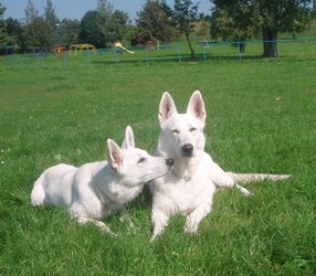 Reggie s m�mou Genny