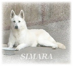 Simara posledn� foto