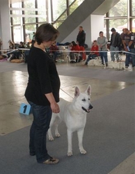 Orfano CAC Intercanis 2010