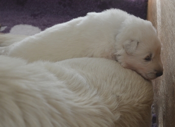 2 t�dny